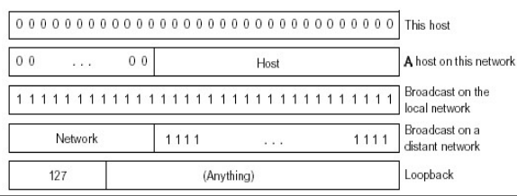 image-20220203170857855