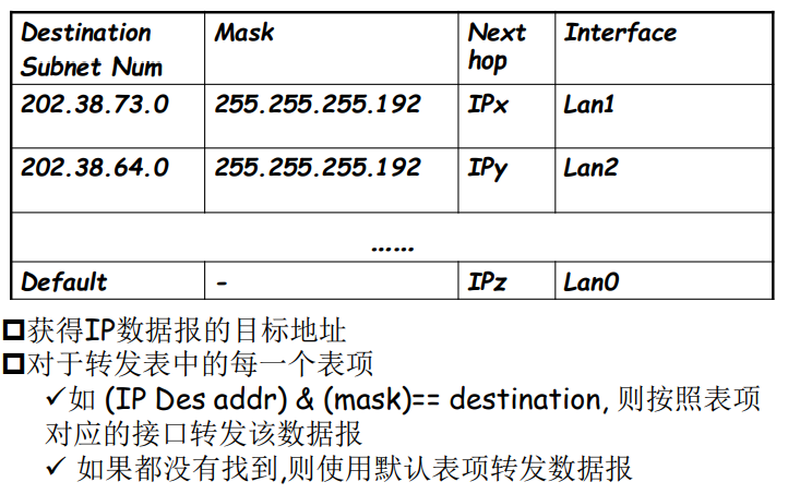 image-20220203173051307