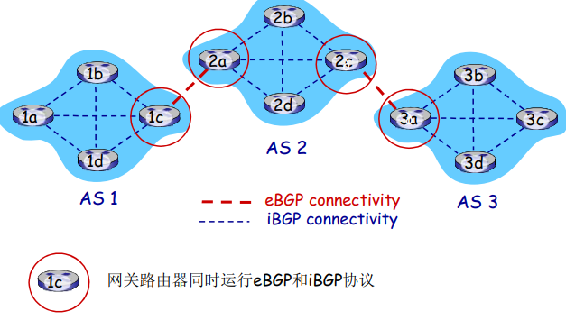 image-20220209142507898