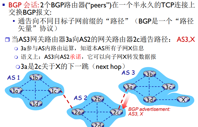 image-20220209142931188