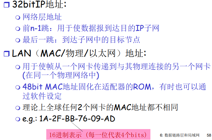 image-20220211135830937