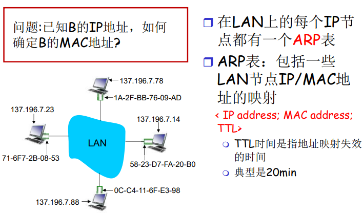 image-20220211141009884