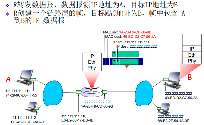 image-20220211141819922