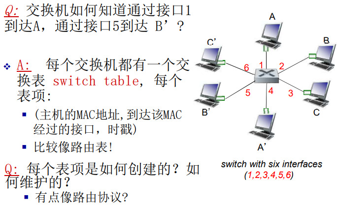 image-20220211161648878