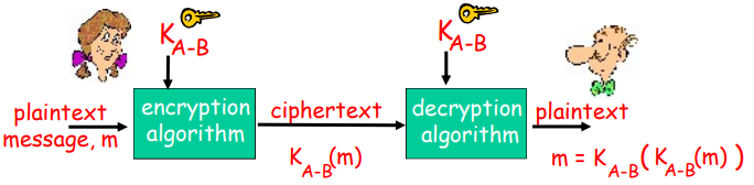 image-20220212133544423