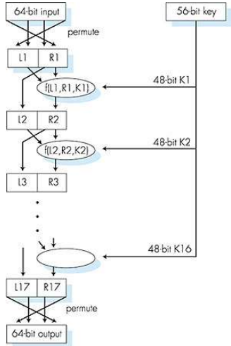 image-20220212153542713