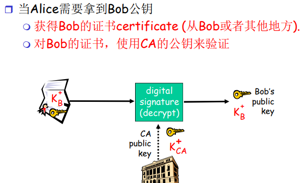 image-20220212205540979