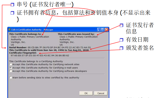 image-20220212205826797