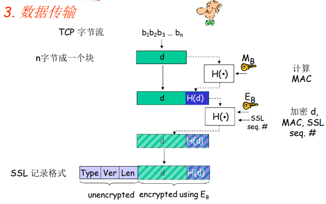 image-20220212212425250