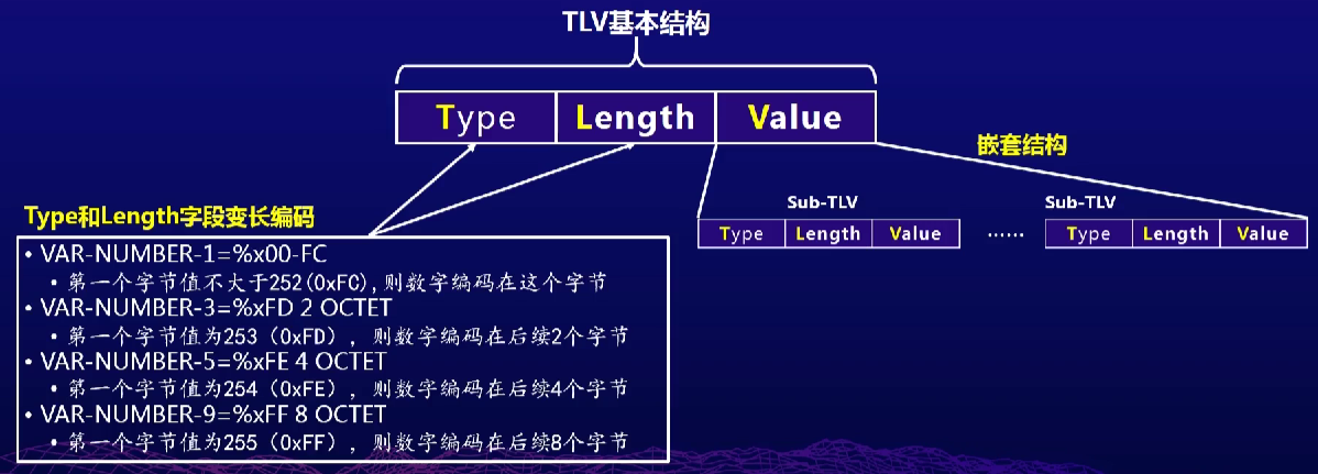 image-20220212233420193