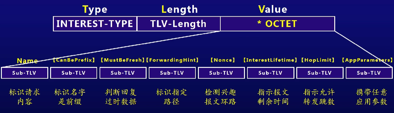 image-20220212233744458