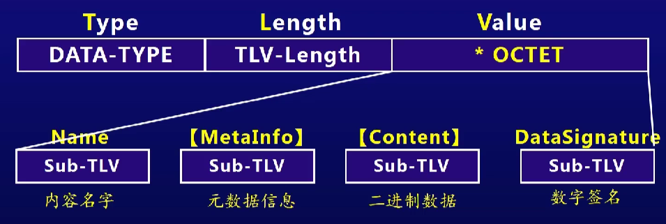 image-20220212233931236